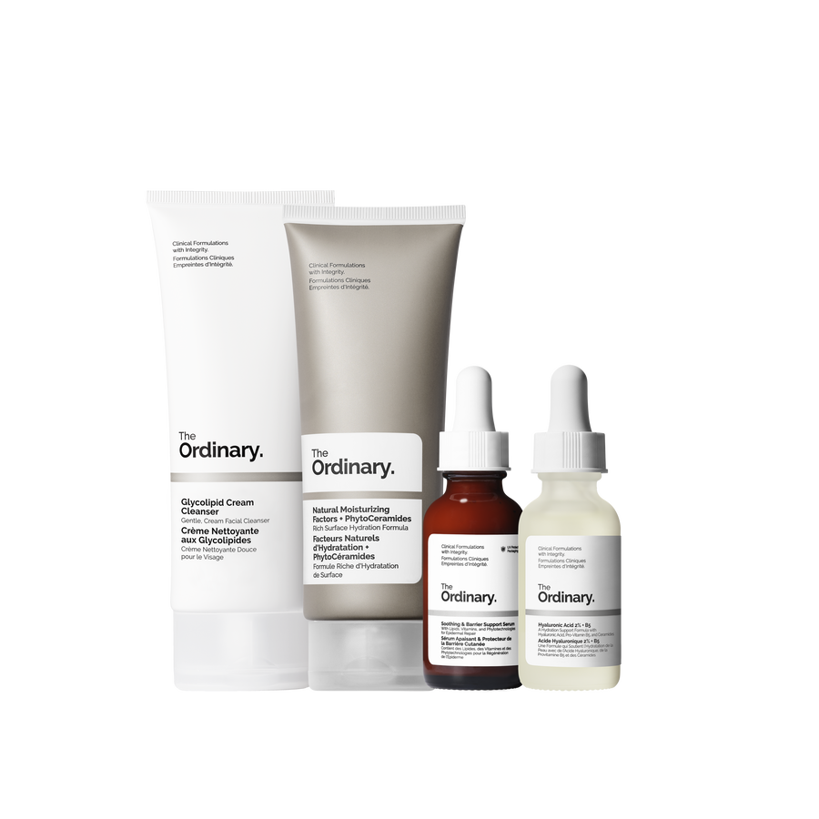 The Barrier Support Collection - Starter Set